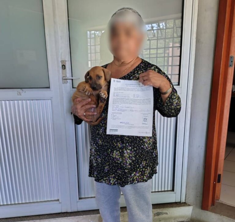 Salud Municipal impulsa adopción de 51 animales en Xalapa