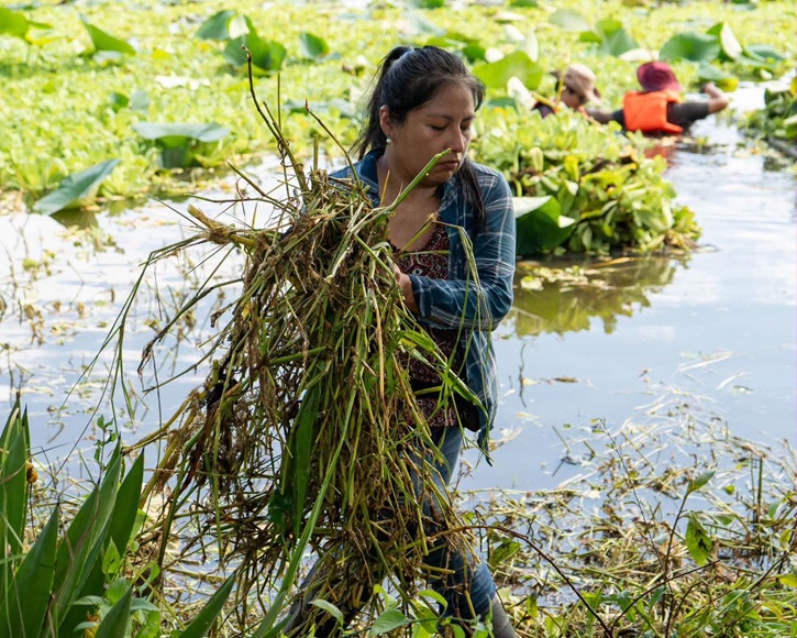 SEDEMA arranca limpieza en la Laguna de San Julián
