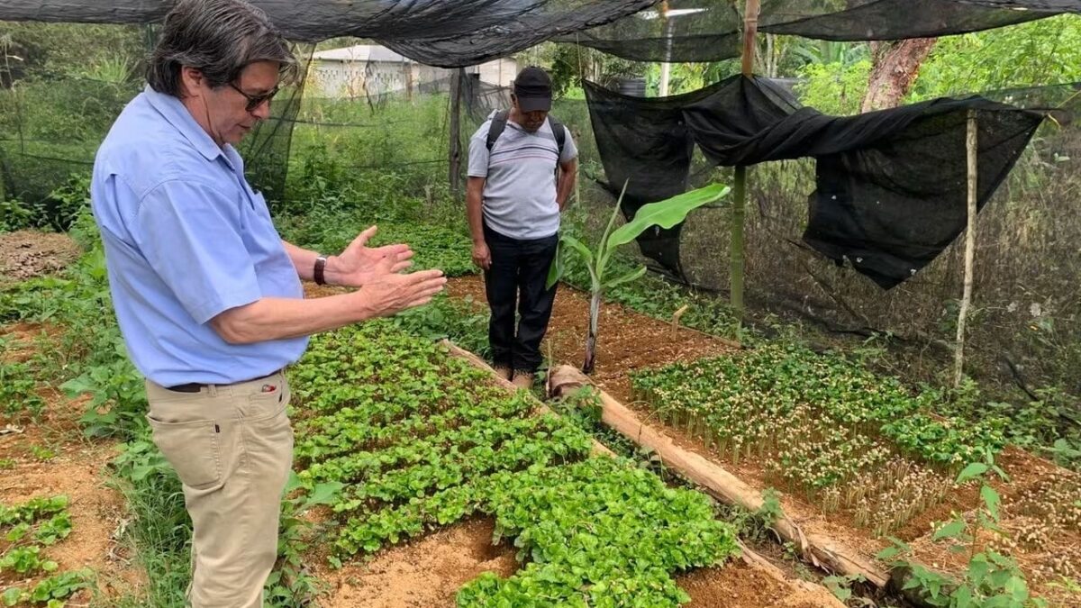 Taller de producción de plántula de café en Ixhuatlán