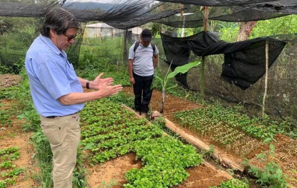 Taller de producción de plántula de café en Ixhuatlán