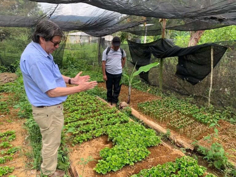 Taller de producción de plántula de café en Ixhuatlán
