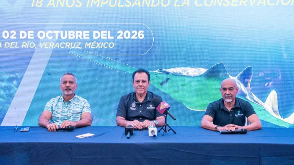Veracruz albergará Congreso sobre Peces Marinos y Expo Cool Planet