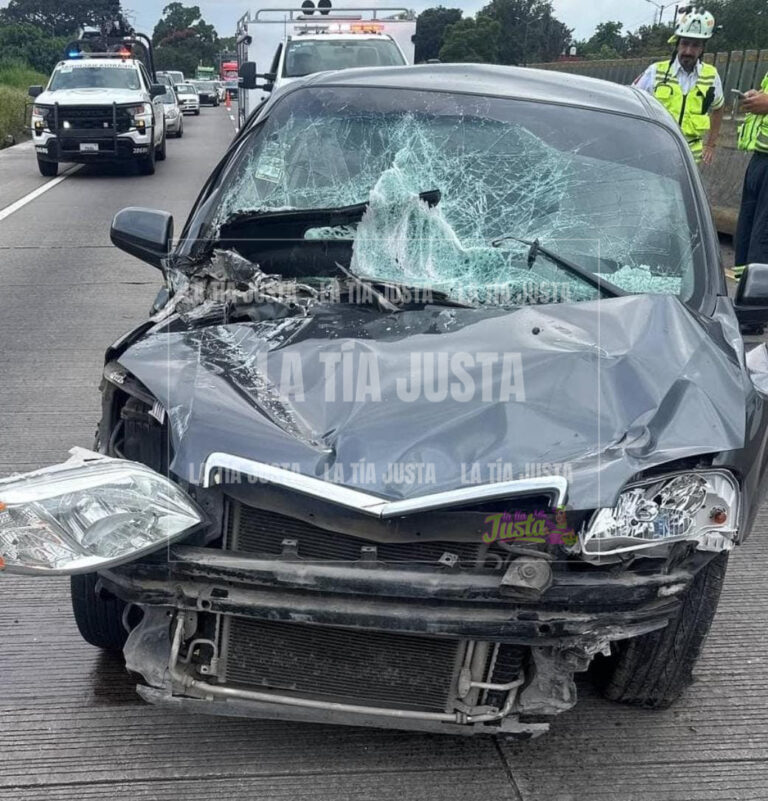 Accidente en autopista 150D causa daños y afecta tráfico