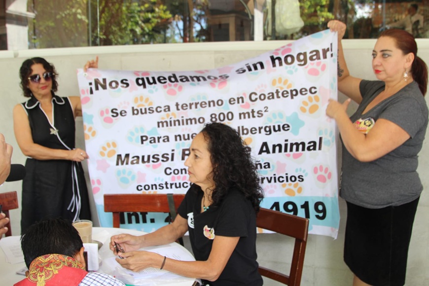 Albergue MAUSI busca nuevo espacio para 150 animales