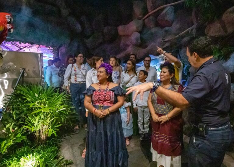 Aquarium de Veracruz celebra Día de Muertos con nuevas experiencias