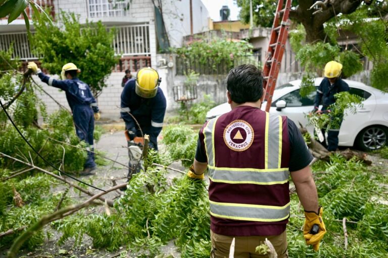 Ayuntamiento de Veracruz atiende daños por el norte y emite alertas