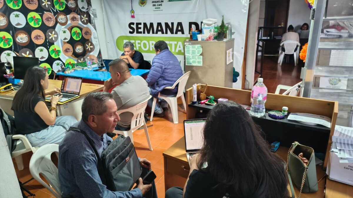 café de ixhuatlán busca entrar al mercado alemán