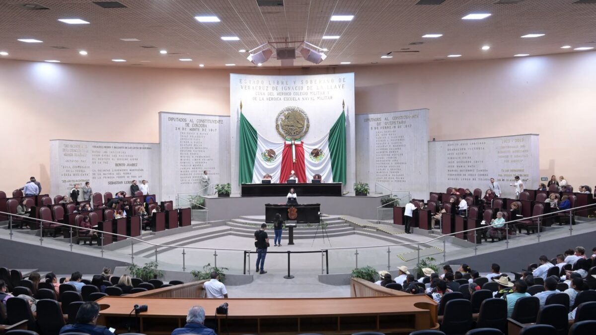 Congreso de Veracruz aumenta penas por maltrato animal