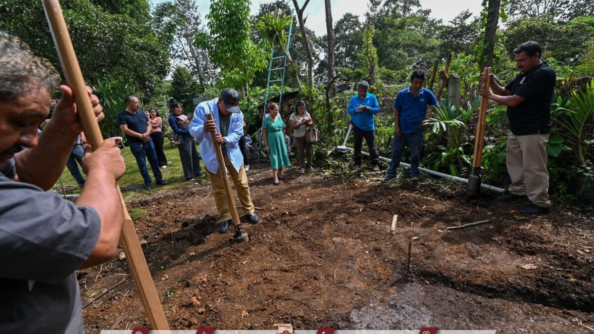Córdoba impulsa captación de agua pluvial con bambú