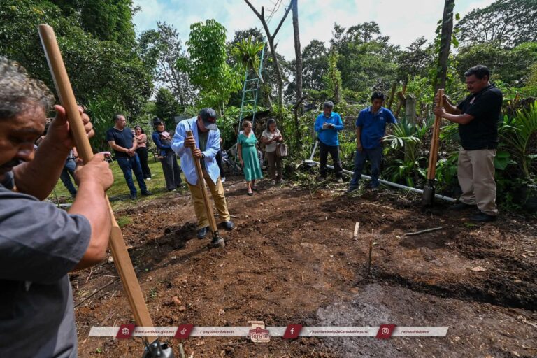 Córdoba impulsa captación de agua pluvial con bambú
