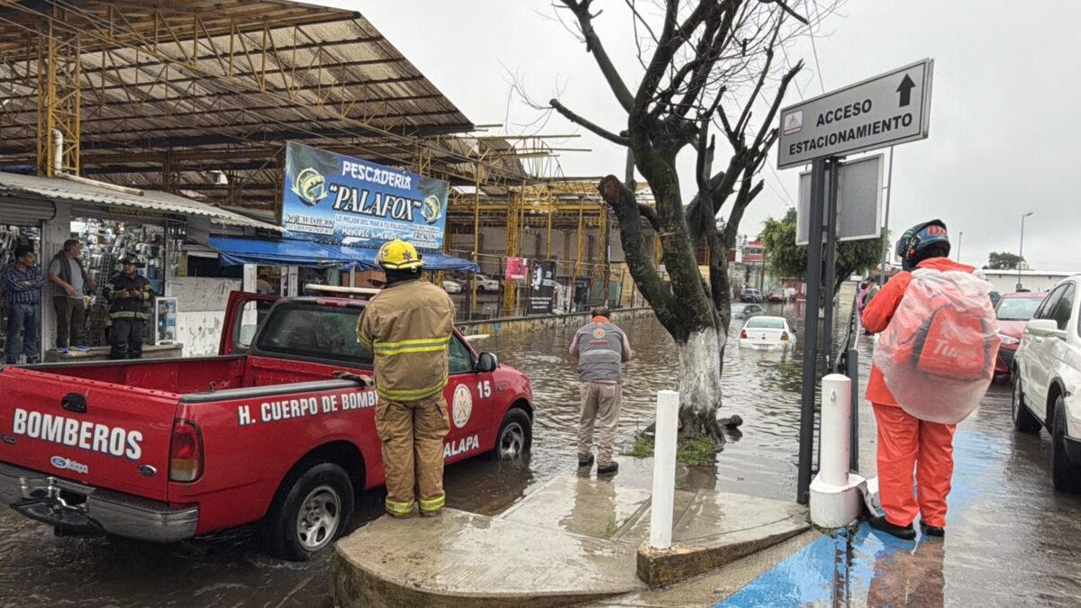 Estado activa vigilancia por lluvias y frente frío
