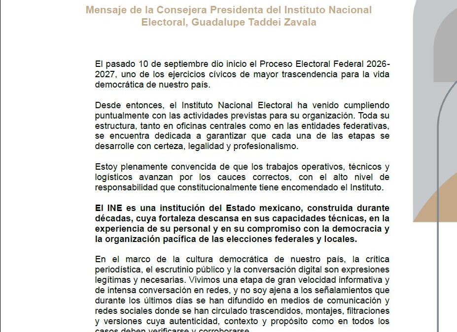 Guadalupe Taddei deja su cargo en el INE