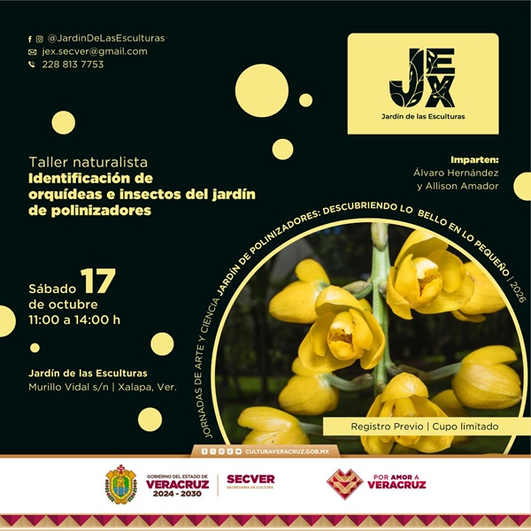 Jornadas de arte y ciencia en Xalapa durante octubre