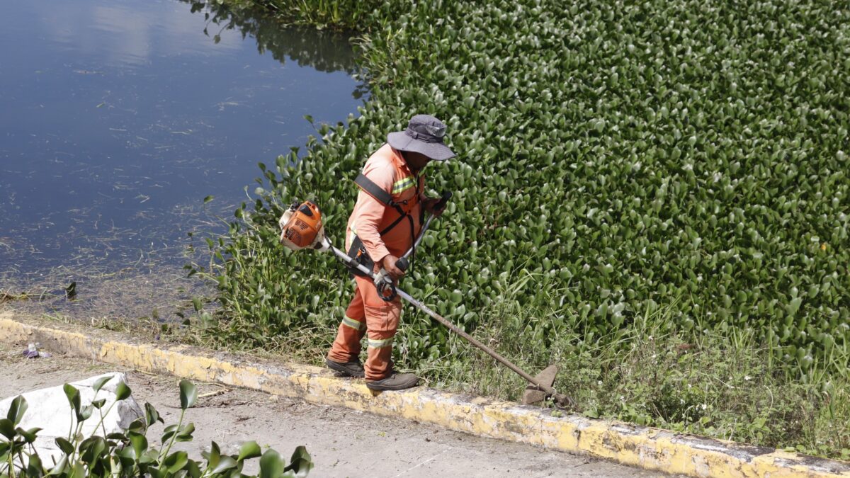 Orizaba realiza limpieza en El Chirimoyo por orden judicial