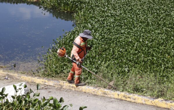 Orizaba realiza limpieza en El Chirimoyo por orden judicial