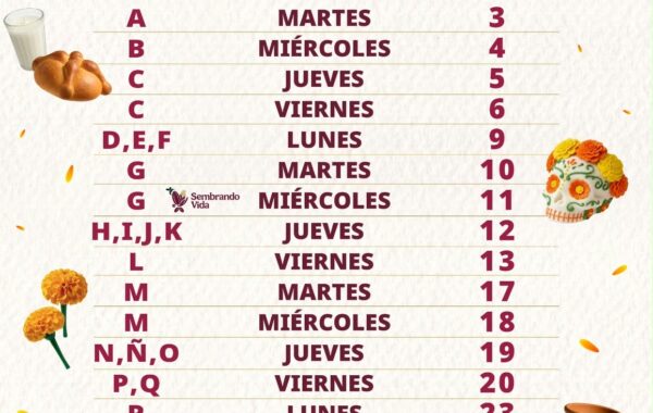 Pagos de Bienestar del 3 al 27 de noviembre