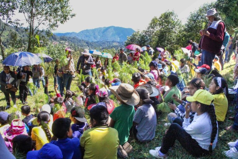 Reforestación de 55.5 hectáreas en Alpatláhuac