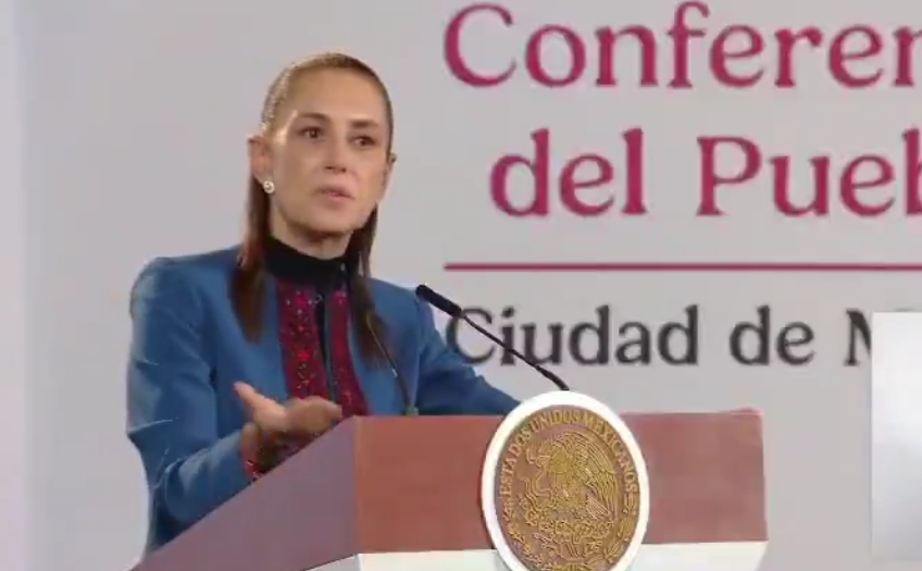 Sheinbaum defiende a Taddei y pide investigar al INE