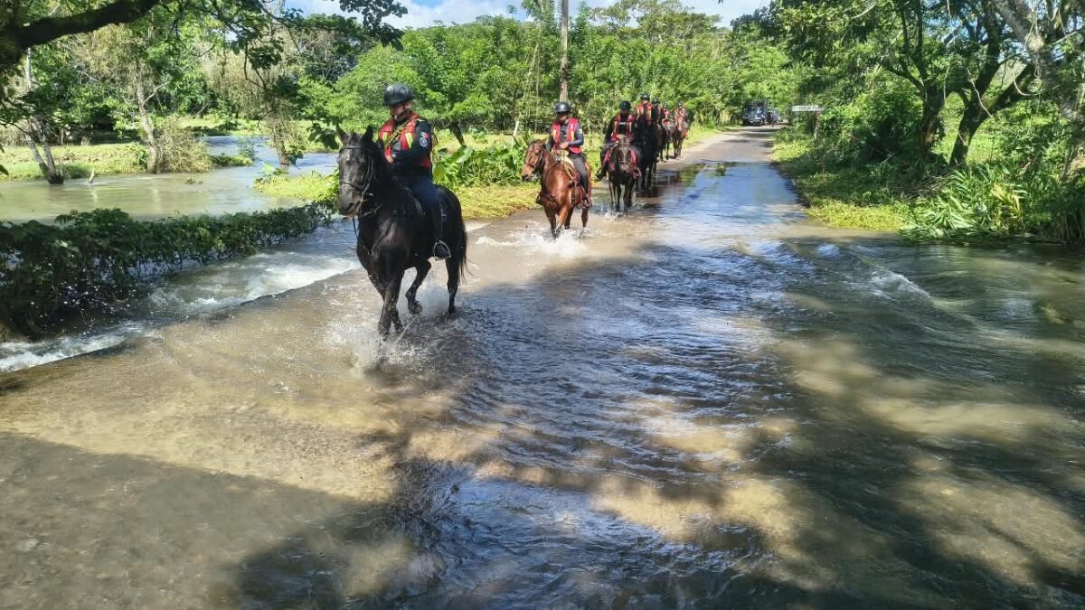 SSP apoya a familias afectadas por lluvias en Veracruz