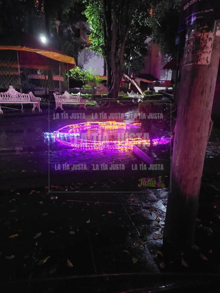 Vandalizan adornos del Día de Muertos en Xico