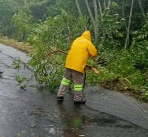 Veracruz atiende daños por Frente Frío 2 en 45 municipios