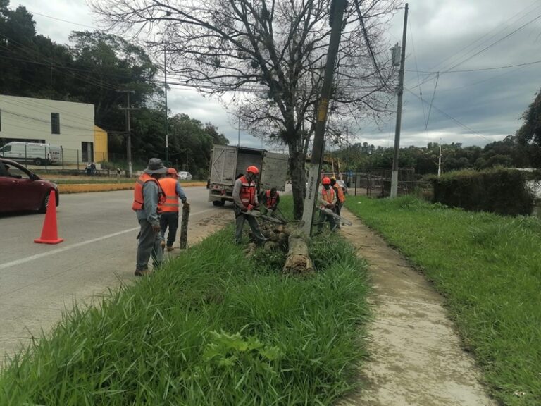 Xalapa reporta daños tras paso del Frente Frío número 2